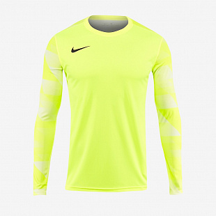 Детский вратарский свитер Nike Dry Park IV LS GK  - Yellow