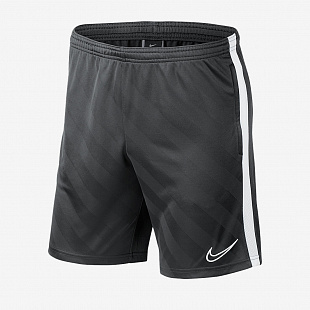 Шорты  Nike Academy 19 Training Shorts - Anthracite/White