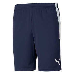 Шорты тренировочные Puma teamLIGA Training Shorts 65725006 JR