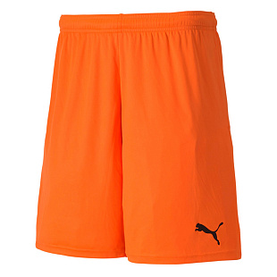 Шорты игровые Puma teamGOAL 23 knit Shorts 70426224 SR