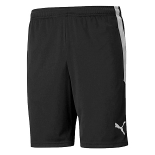 Шорты тренировочные Puma teamLIGA  Training Shorts 65724903 SR