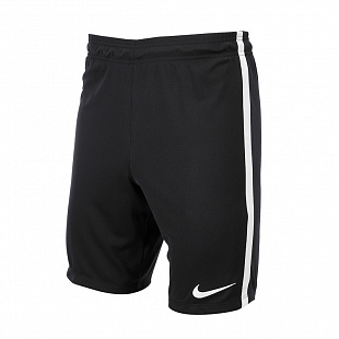 Игровые шорты Nike League Knit (No Briefs) 725881-010 SR