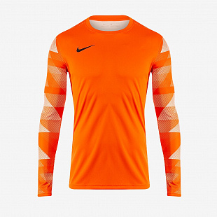 Детский вратарский свитер Nike Dry Park IV LS GK  - Orange