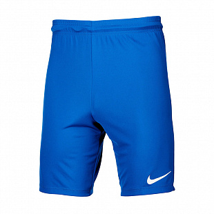 Шорты игровые Nike PARK II KNIT SHORT NB 725887-463 SR