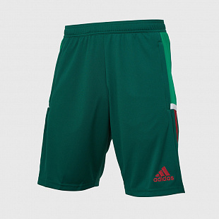 Шорты Adidas Mi Team 19 - Green / Red