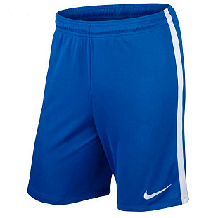 Шорты игровые Nike League Knit (No Briefs) 725881-463 SR