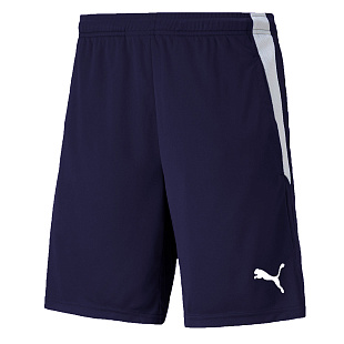 Шорты тренировочные Puma teamLIGA Training Shorts 2 (open pockets) 65766706 SR