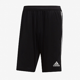 Шорты тренировочные adidas Tiro 19 D95940 SR