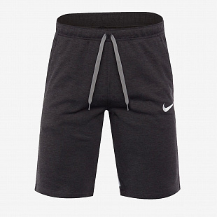 Шорты Nike Fleece Strike 21 Short - Grey