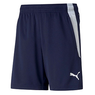 Шорты тренировочные Puma teamLIGA Training Shorts 65724906 SR